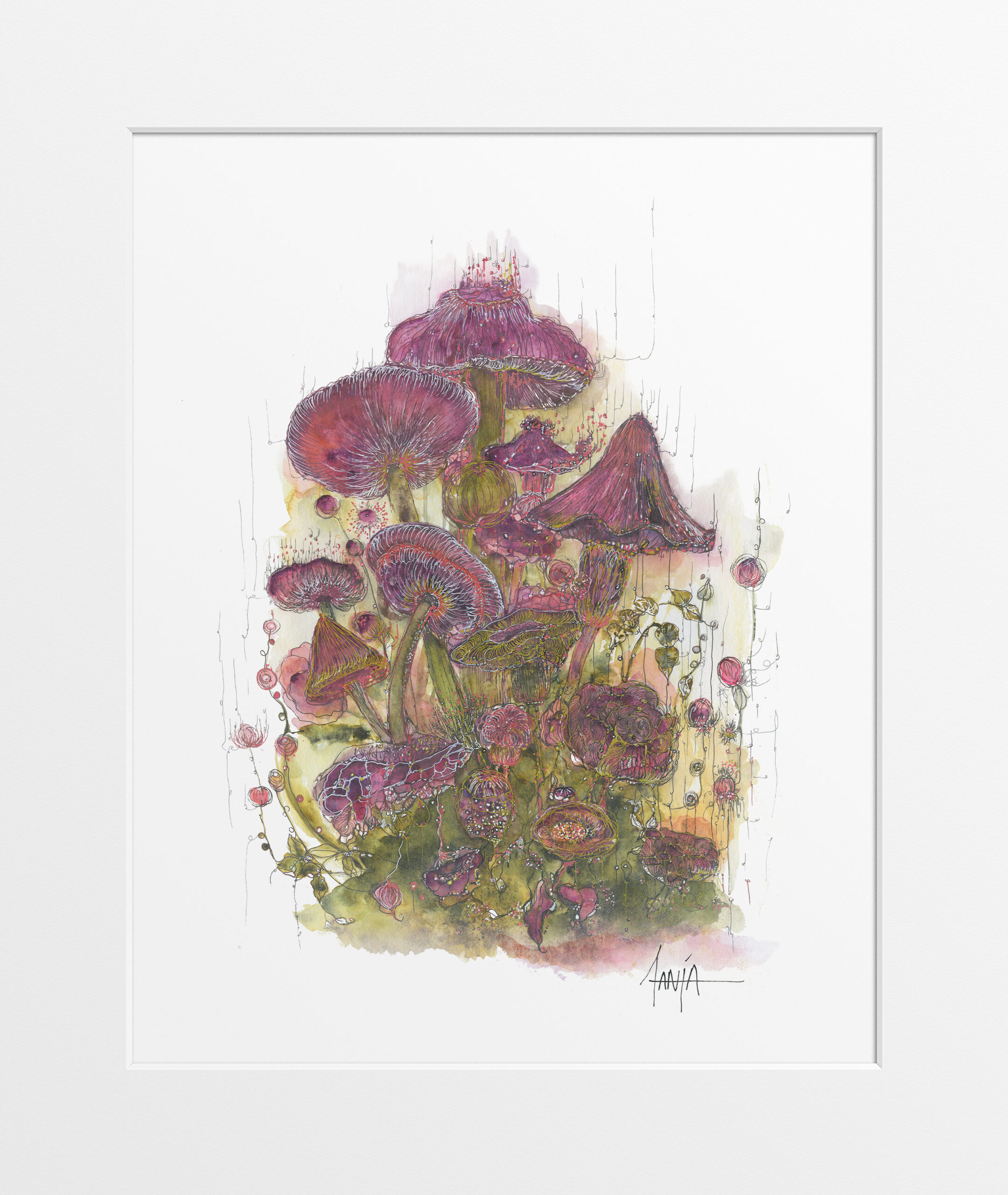 Print - Wild Grace Bloom Series - "Whispers Beneath"