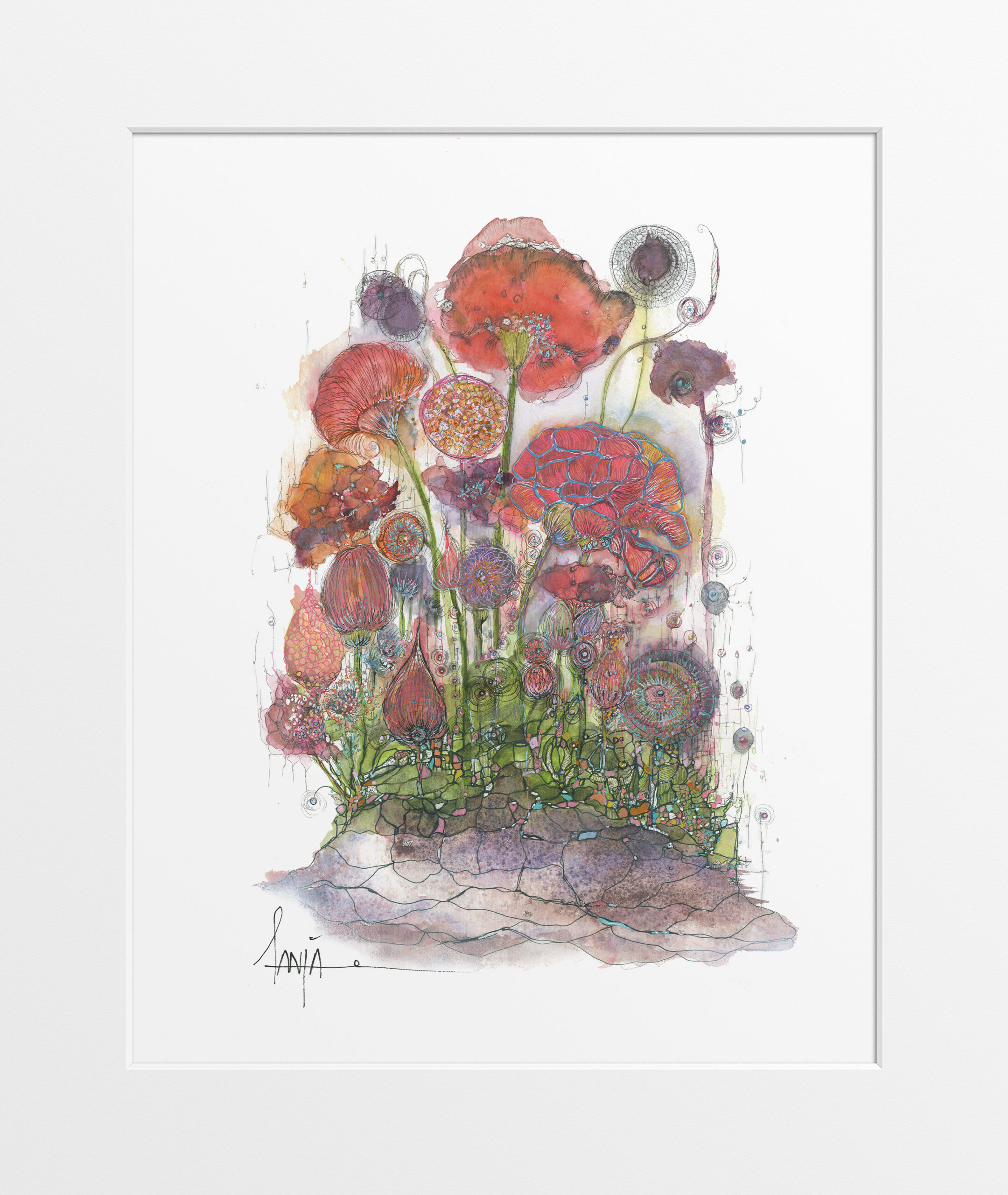 Print - Wild Grace Bloom Series - "Bloom of Serenity"