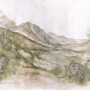Held by the Mountains