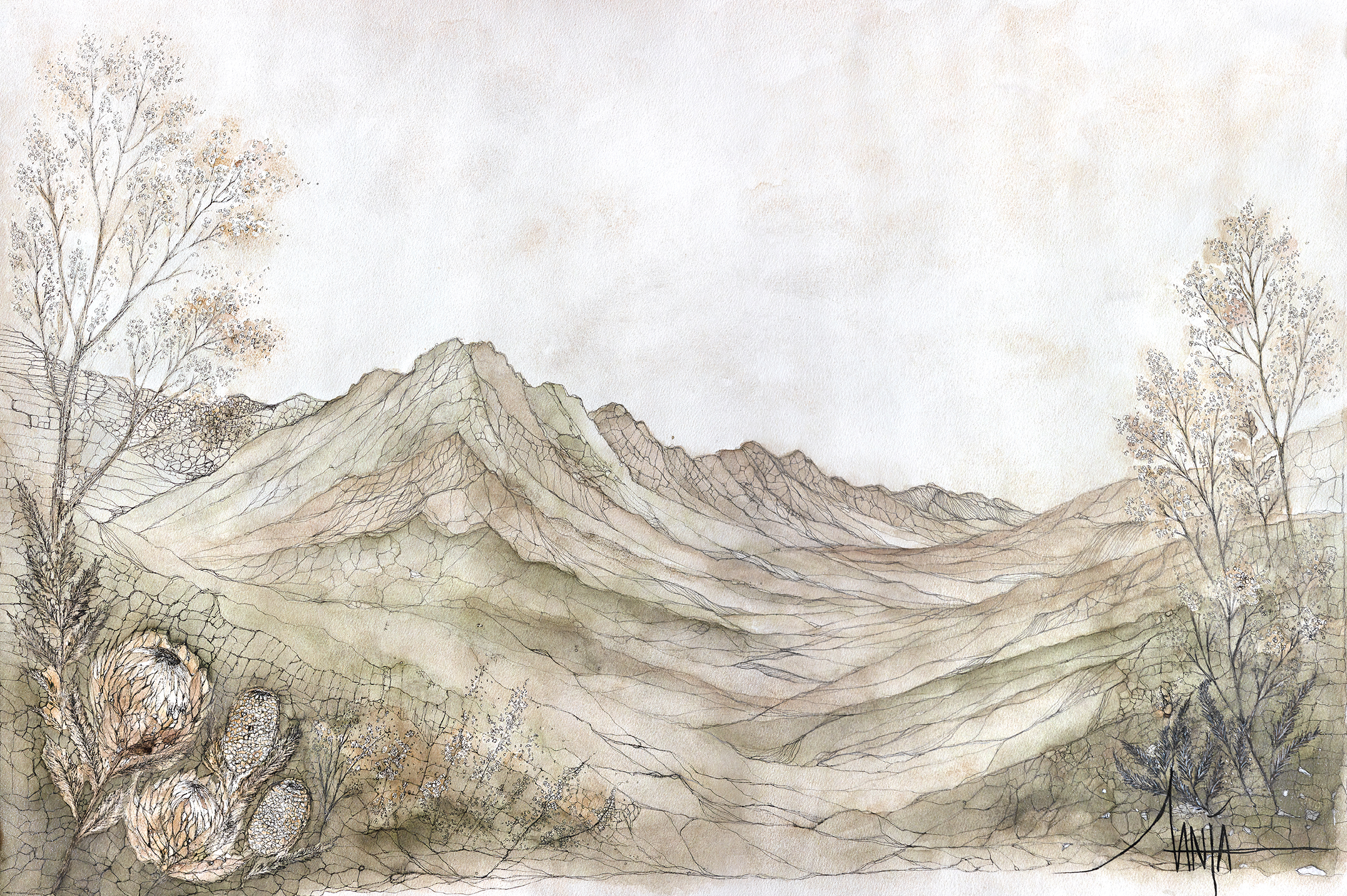 Where the Valley Breathes